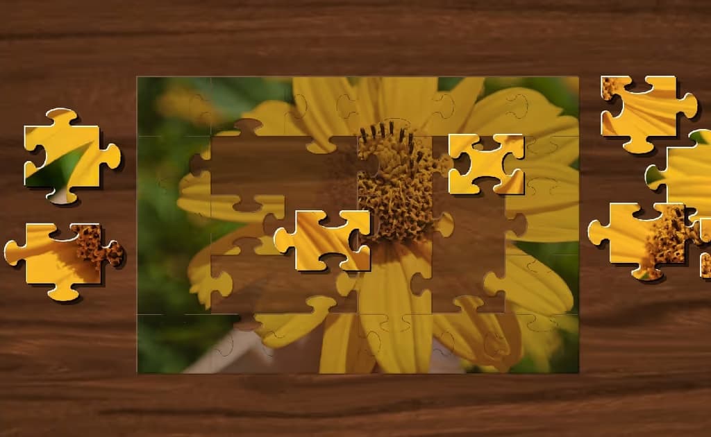 Jigsaw Puzzle Game