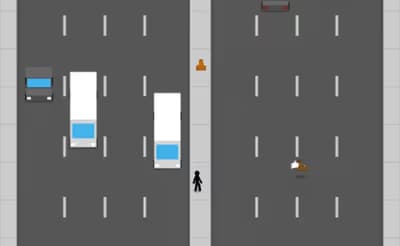 Let's Go Jaywalking