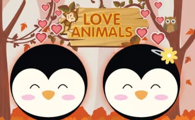Love Animals