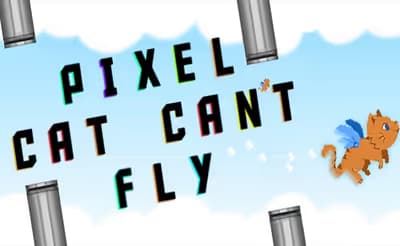 Pixel Cat Can't Fly