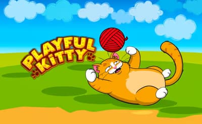 Playful Kitty