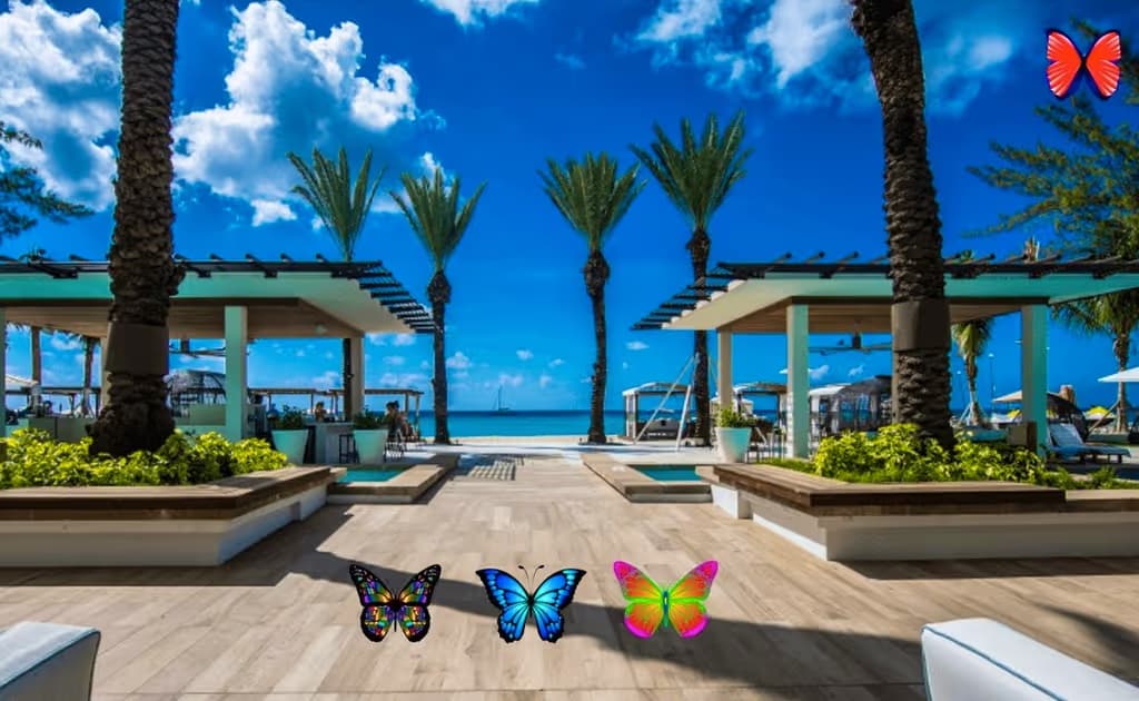 Find 100 Butterflies