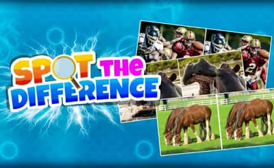 Spot The Difference Game