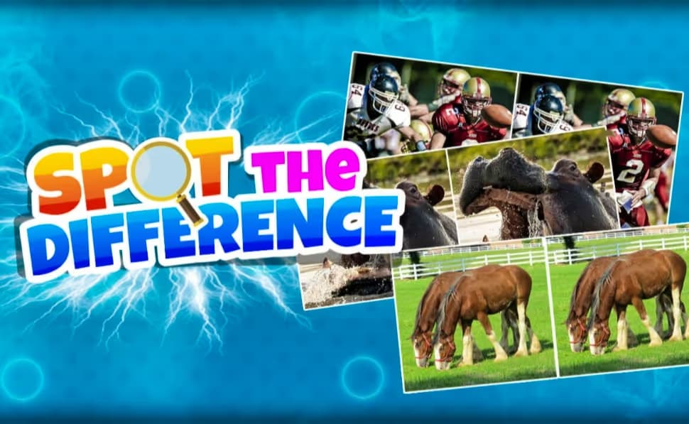 Spot The Difference Game
