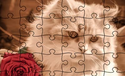 Jigsaw Puzzle: Cats