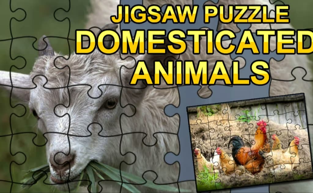 Jigsaw Puzzle: Domesticated Animals