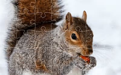 Jigsaw Puzzle XMas