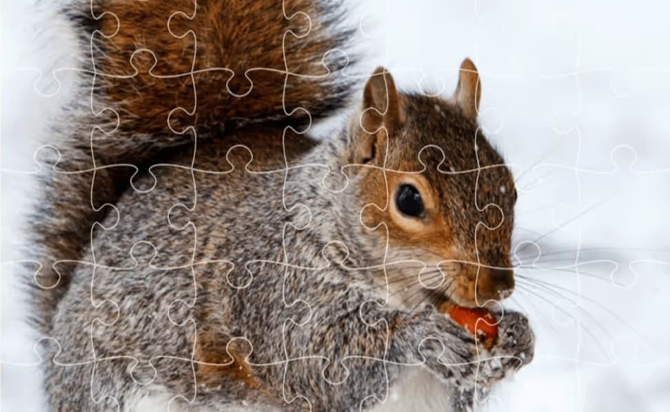 Jigsaw Puzzle XMas