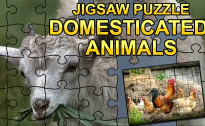 Jigsaw Puzzle: Domesticated Animals