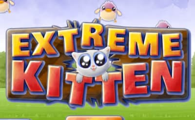 Extreme Kitten