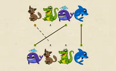 Match The Animal