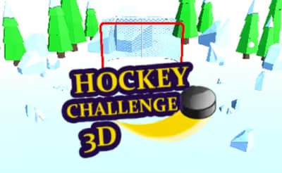 Hockey Challenge 3D