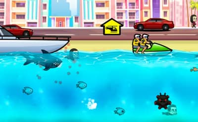 Angry Shark Miami