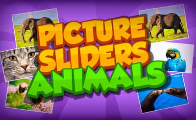 Picture Sliders Animals