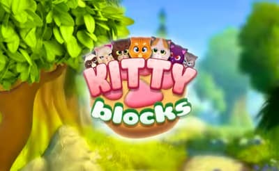 Kitty Blocks
