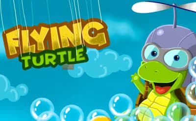 Flying Turtle