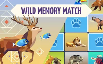 Wild Memory Match
