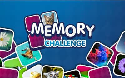 Memory Challenge