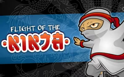 Flight of the Ninja