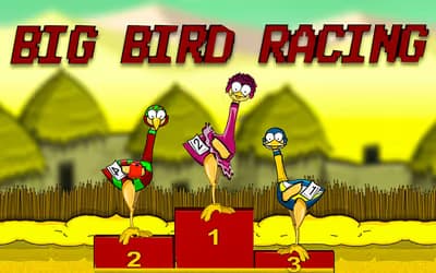 Big Bird Racing