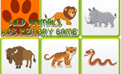 Kids Memory Wild Animals