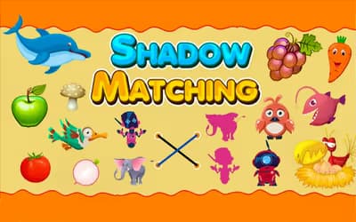 Shadow Matching