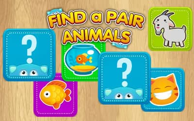 Find a Pair Animals