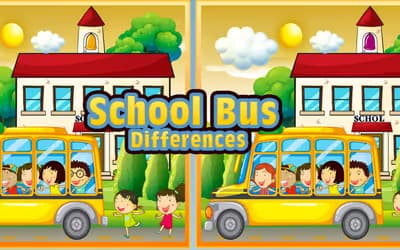 School Bus Differences
