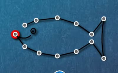 Connecting and Drawing