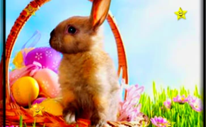 Easter Time Hidden Stars