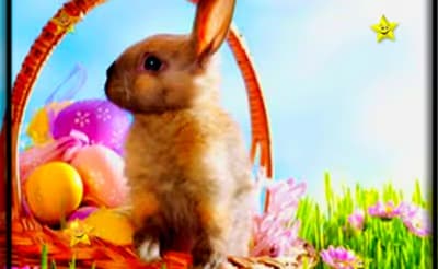 Easter Time Hidden Stars