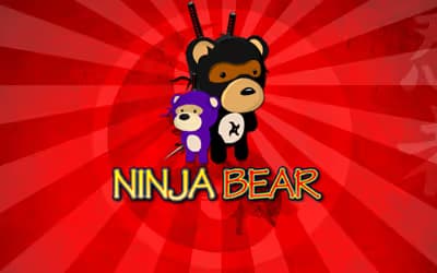 Ninja Bear