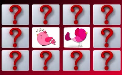 Cute Birds Memory