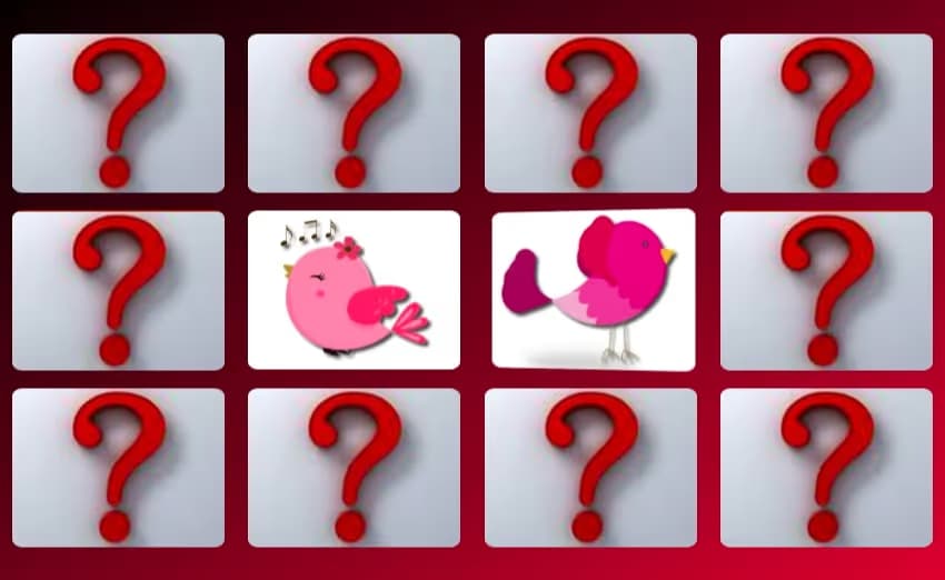 Cute Birds Memory