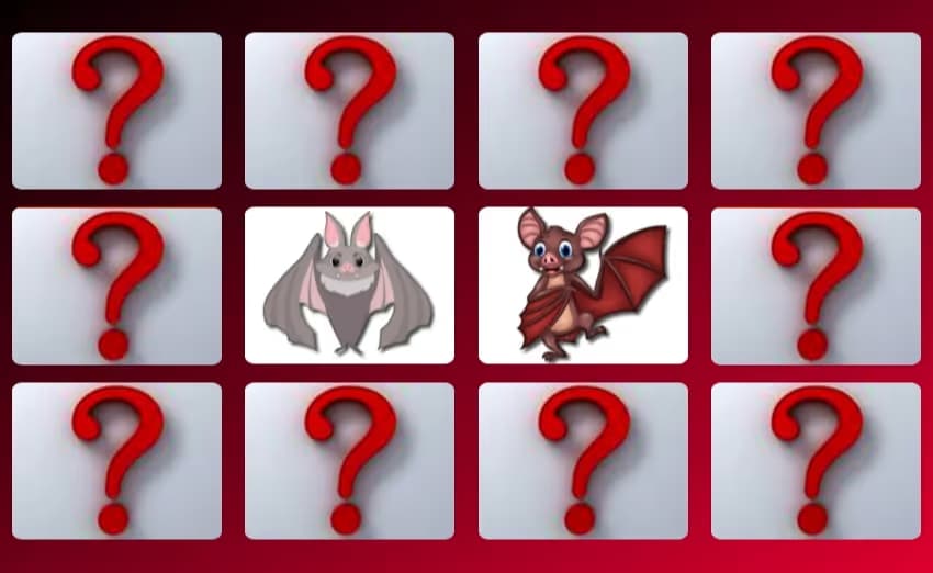 Cute Bat Memory