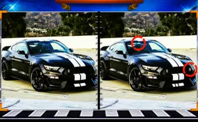 Fancy Mustang Spot the Difference