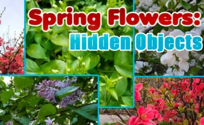 Spring Flowers: Hidden Objects