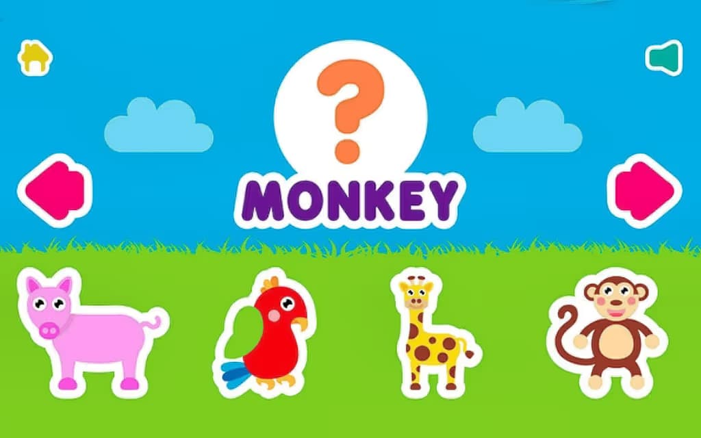 Animal Name