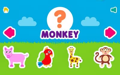 Animal Name