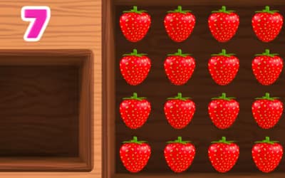 Fruits and Vegetables