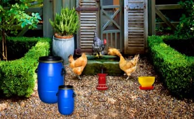 Poultry Farm Easter Escape