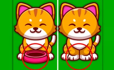 Find The Difference Animal