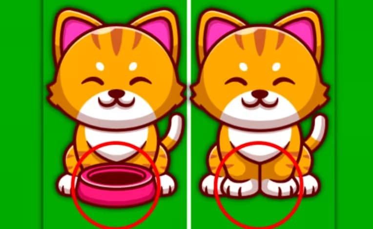 Find The Difference Animal
