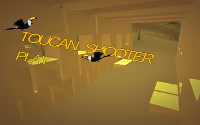 Toucan Shooter