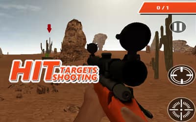 Hit Targets Shooting