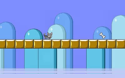 Mr Jump Husky