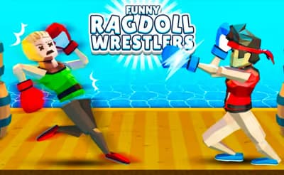 Funny Ragdoll Wrestlers