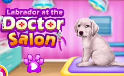 Labrador at the Doctor Salon