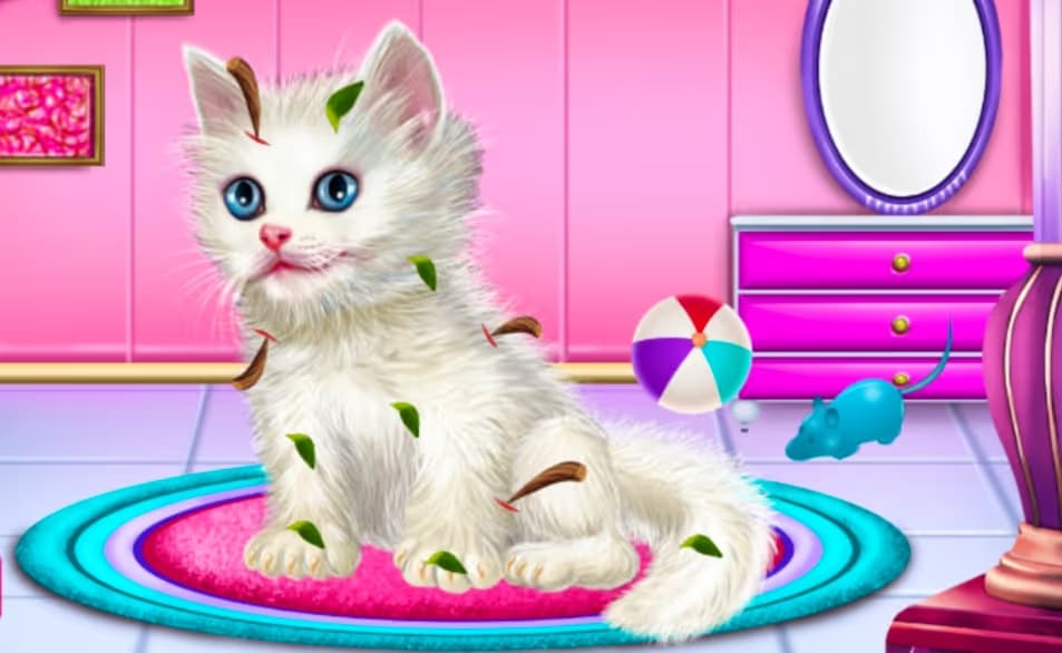 Kitty Care and Grooming