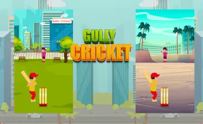 Gully Cricket